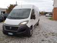 Fiat Ducato 33 2.3 MJT 140CV LH2 2020 E6DTEMP GARANTITO!!! Blanco - thumbnail 1