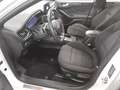 Ford Focus Turnier 2.0 EB ST-Line Navi LED ACC RFK Weiß - thumbnail 9