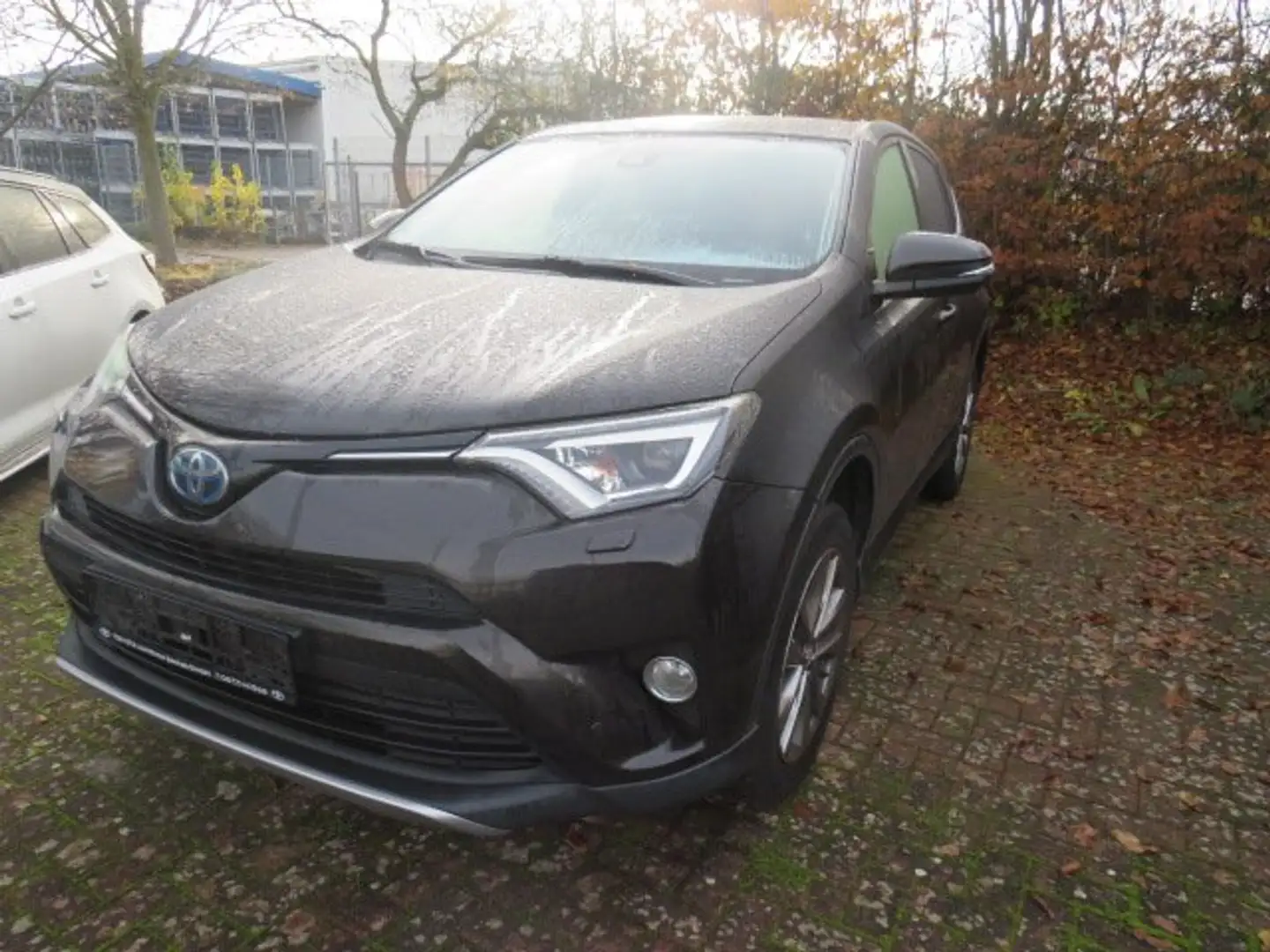 Toyota RAV 4 Team D Braun - 2