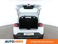 Dacia Sandero 1.0 TCe Stepway Extreme Aut.*NAVI*EcoLED*TEMPO* Weiß - thumbnail 10