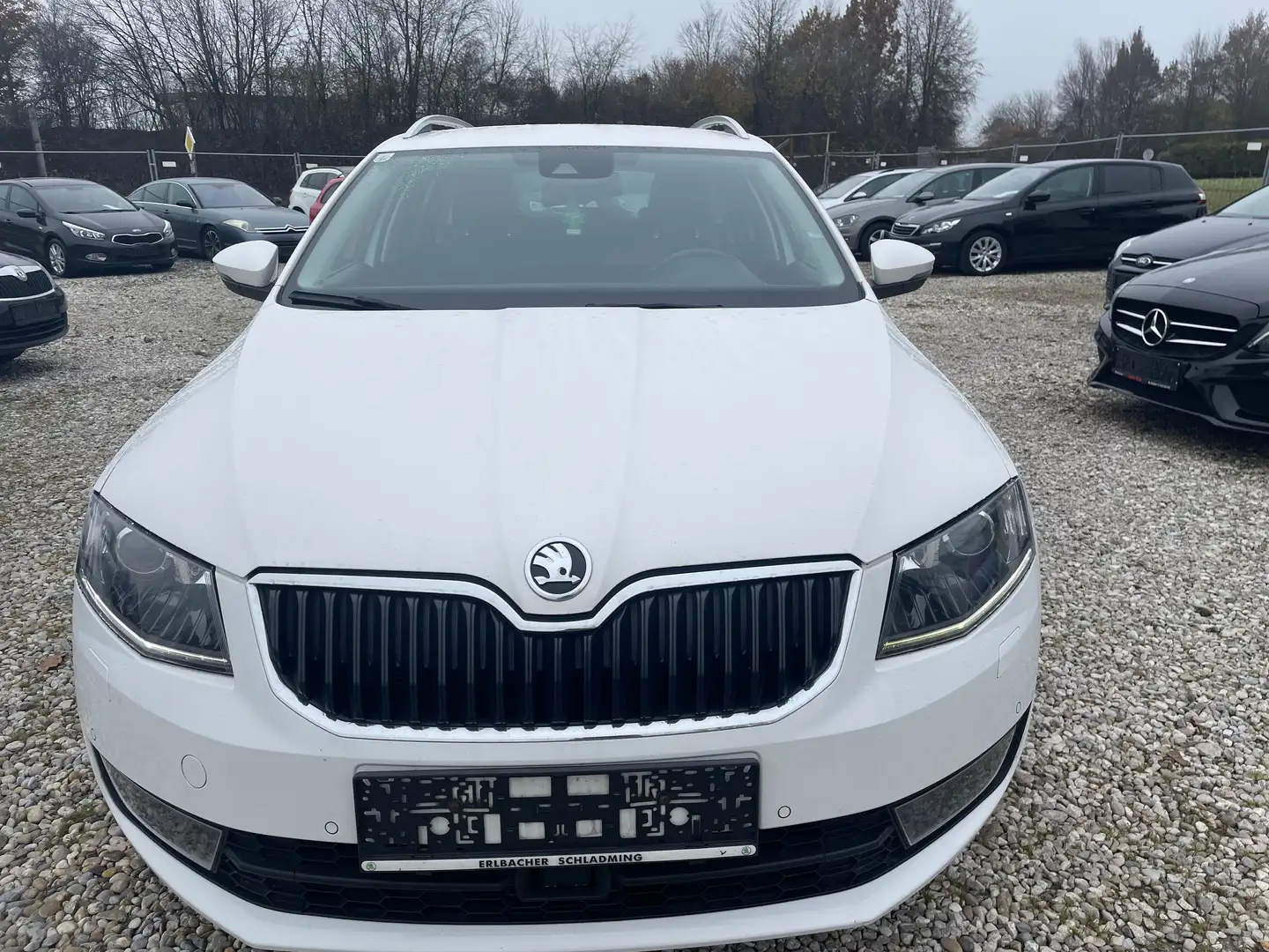 Skoda Octavia Octavia Combi 2.0 TDI+4x4+pickerl 6/2026+4monat Weiß - 2