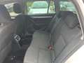 Skoda Octavia Octavia Combi 2.0 TDI+4x4+pickerl 6/2026+4monat Weiß - thumbnail 17