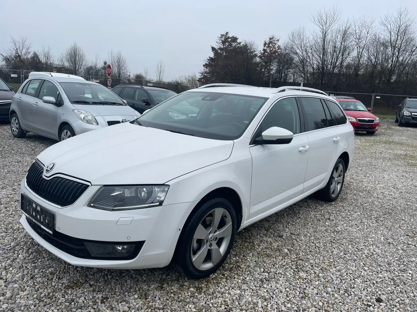 Skoda Octavia Octavia Combi 2.0 TDI+4x4+pickerl 6/2026+4monat Weiß - 1