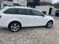 Skoda Octavia Octavia Combi 2.0 TDI+4x4+pickerl 6/2026+4monat Weiß - thumbnail 6