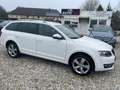 Skoda Octavia Octavia Combi 2.0 TDI+4x4+pickerl 6/2026+4monat Weiß - thumbnail 7