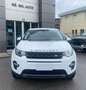 Land Rover Discovery Sport 2.0 TD4 150 Auto Business Ed. Premium SE Bianco - thumbnail 2