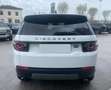 Land Rover Discovery Sport 2.0 TD4 150 Auto Business Ed. Premium SE Bianco - thumbnail 7