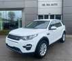 Land Rover Discovery Sport 2.0 TD4 150 Auto Business Ed. Premium SE Bianco - thumbnail 1