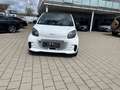 smart forTwo fortwo coupe electric drive / EQ*Klima Weiß - thumbnail 2