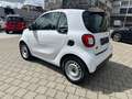 smart forTwo fortwo coupe electric drive / EQ*Klima Weiß - thumbnail 4