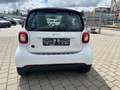 smart forTwo fortwo coupe electric drive / EQ*Klima Weiß - thumbnail 5