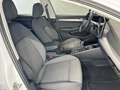 Volkswagen Golf Variant Life 1.5 TSI | ACC DAB APP-CONNECT Bianco - thumbnail 15