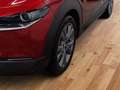 Mazda CX-30 2.5 Exclusive AUTOMATIK 360°, Matrix, Bose Rot - thumbnail 6