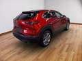 Mazda CX-30 2.5 Exclusive AUTOMATIK 360°, Matrix, Bose Rot - thumbnail 2