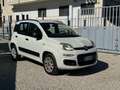Fiat Panda Panda III natural power Lounge 80cv1PROP Blanc - thumbnail 2