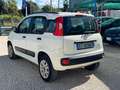 Fiat Panda Panda III natural power Lounge 80cv1PROP Blanc - thumbnail 4