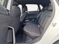 Volkswagen Polo VI 1.0 TSI Highline Matrix 2xKlima ACC AHK Weiß - thumbnail 8