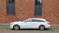 Mercedes-Benz CLS 250 CLS Shooting Brake 250 CDI DPF BlueEFFICIENCY 7G-T - thumbnail 2
