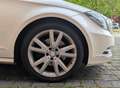 Mercedes-Benz CLS 250 CLS Shooting Brake 250 CDI DPF BlueEFFICIENCY 7G-T - thumbnail 10