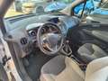 Ford Tourneo Courier Titanium,Zahnrimen neu Weiß - thumbnail 10