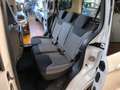 Ford Tourneo Courier Titanium,Zahnrimen neu Weiß - thumbnail 12