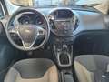 Ford Tourneo Courier Titanium,Zahnrimen neu Weiß - thumbnail 13