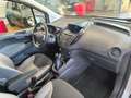 Ford Tourneo Courier Titanium,Zahnrimen neu Weiß - thumbnail 8