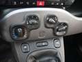 Fiat Panda 1.3 MULTIJET 16V 75CH S\u0026S ROCK Noir - thumbnail 16