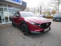 Mazda CX-30 e-SKYACTIV-G 140 Nagisa SHZ ACC HUD LED Rot - thumbnail 4