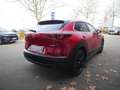 Mazda CX-30 e-SKYACTIV-G 140 Nagisa SHZ ACC HUD LED Rot - thumbnail 5