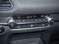 Mazda CX-30 e-SKYACTIV-G 140 Nagisa SHZ ACC HUD LED Rot - thumbnail 14