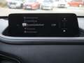 Mazda CX-30 e-SKYACTIV-G 140 Nagisa SHZ ACC HUD LED Rot - thumbnail 12