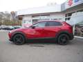 Mazda CX-30 e-SKYACTIV-G 140 Nagisa SHZ ACC HUD LED Rot - thumbnail 26