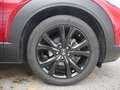 Mazda CX-30 e-SKYACTIV-G 140 Nagisa SHZ ACC HUD LED Rot - thumbnail 7
