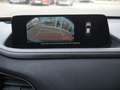 Mazda CX-30 e-SKYACTIV-G 140 Nagisa SHZ ACC HUD LED Rot - thumbnail 13