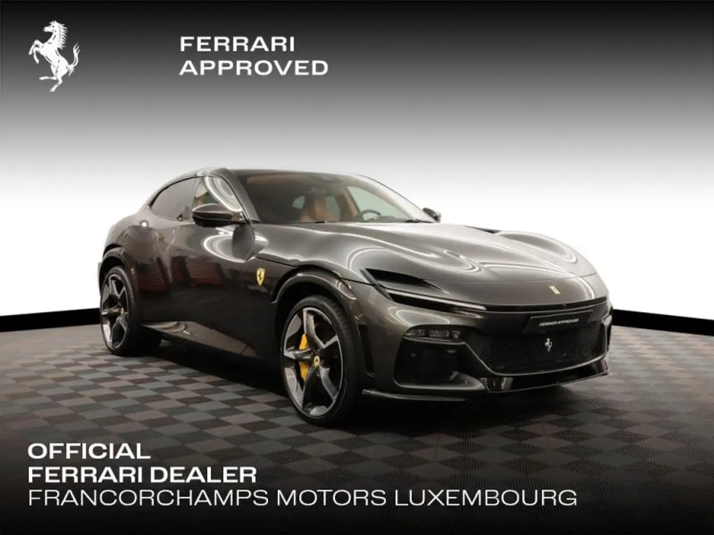 ferrari purosangue