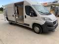 Fiat Ducato FIAT Industrial  Manual de 5 Puertas Blanc - thumbnail 16