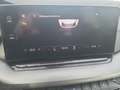 Skoda Octavia 4x4 Ambition TDI DSG Silber - thumbnail 17