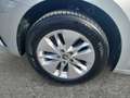 Skoda Octavia 4x4 Ambition TDI DSG Silber - thumbnail 14