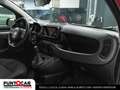Fiat Panda 1.0 FireFly S&S Hybrid Cross PROMO FLEX Rood - thumbnail 14