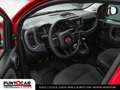 Fiat Panda 1.0 FireFly S&S Hybrid Cross PROMO FLEX Rood - thumbnail 6