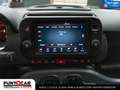 Fiat Panda 1.0 FireFly S&S Hybrid Cross PROMO FLEX Rood - thumbnail 12