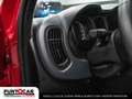Fiat Panda 1.0 FireFly S&S Hybrid Cross PROMO FLEX Rood - thumbnail 13