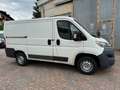 Citroen Jumper L1H1 Blanc - thumbnail 6