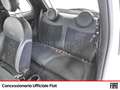 Fiat 500 1.0 hybrid sport 70cv Bianco - thumbnail 8