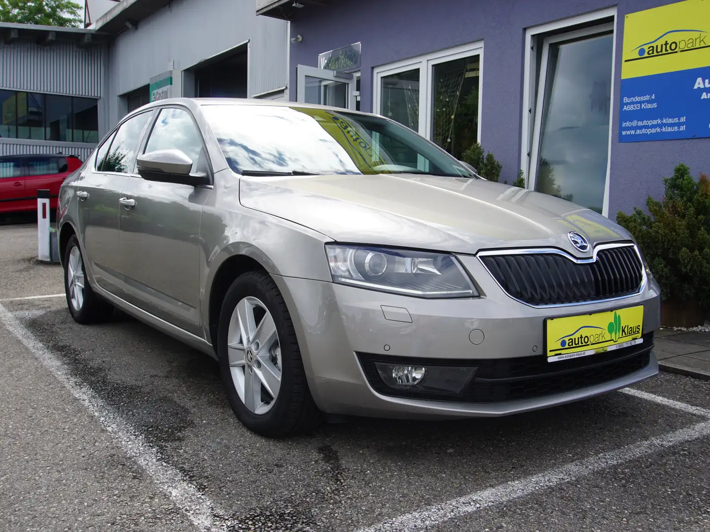 Skoda Octavia Gris - 1