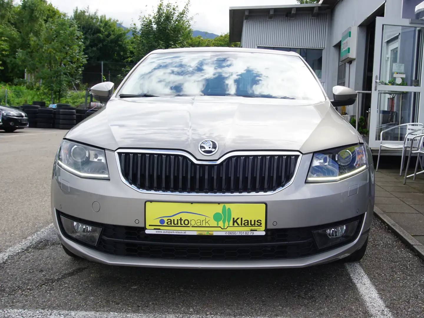 Skoda Octavia Gris - 2