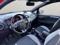 Fiat Punto 1.4 8V SPORTLINE / SCHWARZER GLASDACH / WENIG KM Rot - thumbnail 10