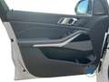 BMW X5 xDrive40d M Sport AHK Pano Sky DA/PA Prof HUD Weiß - thumbnail 9