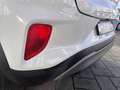 Ford Puma 1.0 ecoboost h Titanium s Bianco - thumbnail 9